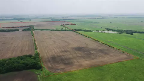 tbd Fm 64, Pecan Gap, TX 75469