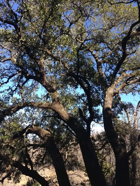 lot694 Balcones Ln, Possum Kingdom Lake, TX 76449