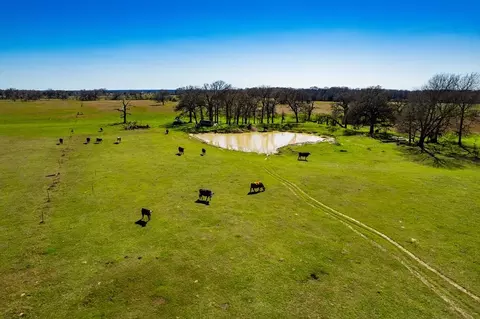 12559 Cr 2404, Kemp, TX 75143