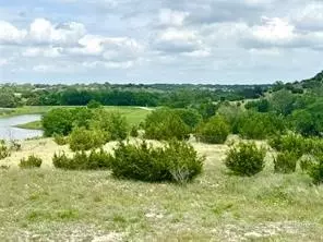 1145 Hidden Cove Trl, Glen Rose, TX 76043