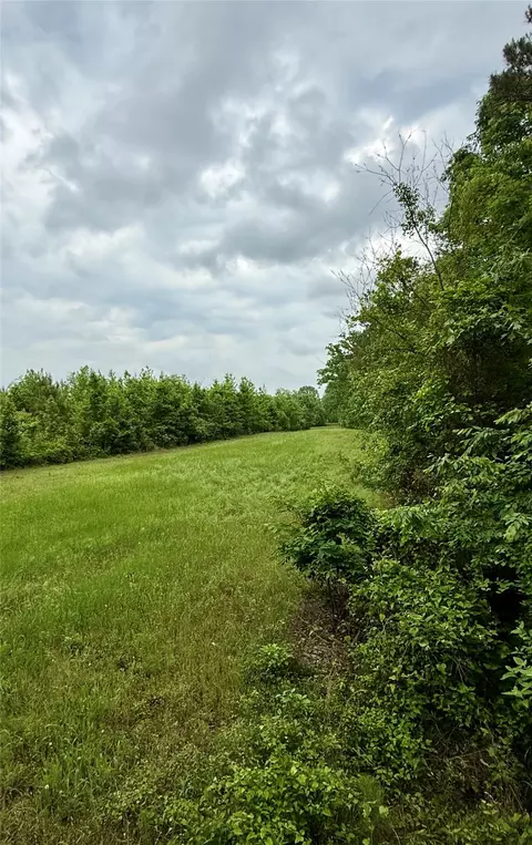 953 Evergreen Rd, Minden, LA 71055 photo 31