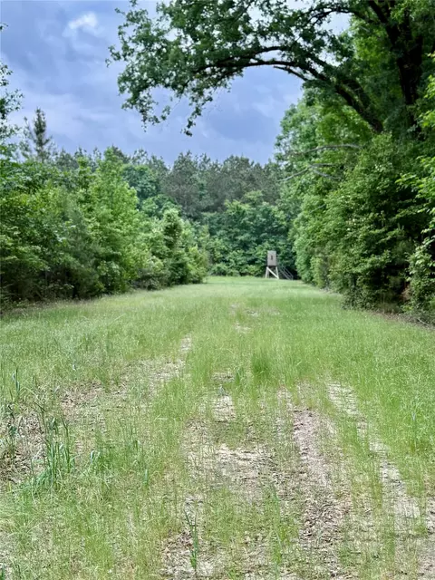 953 Evergreen Rd, Minden, LA 71055 photo 32
