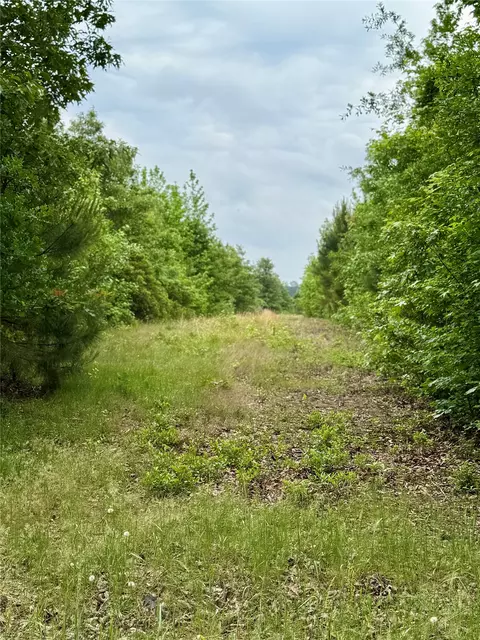 953 Evergreen Rd, Minden, LA 71055 photo 23