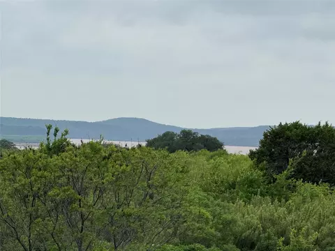 434 Indigo Bush, Graford, TX 79763