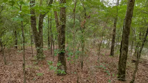 1714 Pineview Ln, Hideaway, TX 75771 photo 14