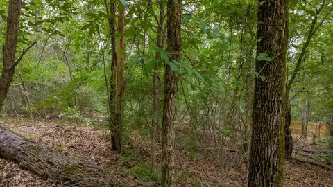 1714 Pineview Ln, Hideaway, TX 75771 photo 11