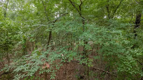 1714 Pineview Ln, Hideaway, TX 75771 photo 10