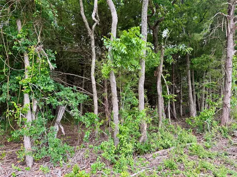 tbd Cr 2975, Honey Grove, TX 75446