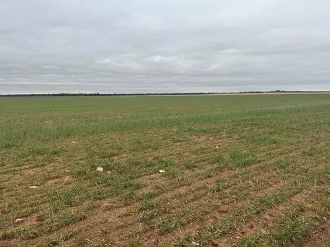tbd Fm126 Merkel Tx 79536, Merkel, TX 79536