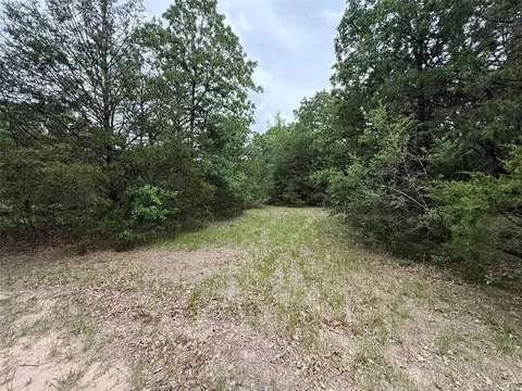 tbd 27 Acres Fm 642, Purdon, TX 76679 photo 5