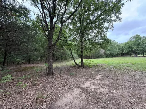 tbd 27 Acres Fm 642, Purdon, TX 76679 photo 14