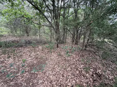 tbd 27 Acres Fm 642, Purdon, TX 76679 photo 22