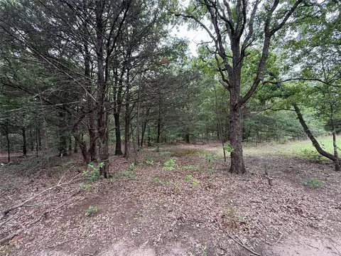 tbd 27 Acres Fm 642, Purdon, TX 76679 photo 32