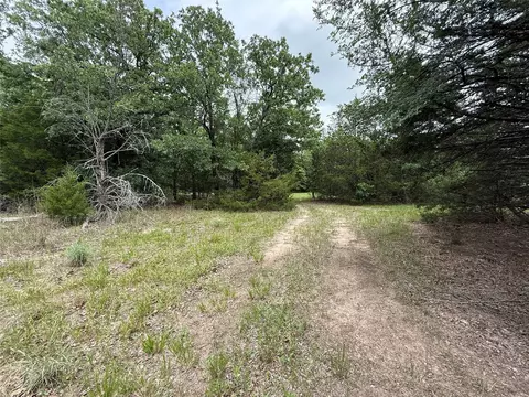 tbd 27 Acres Fm 642, Purdon, TX 76679 photo 7