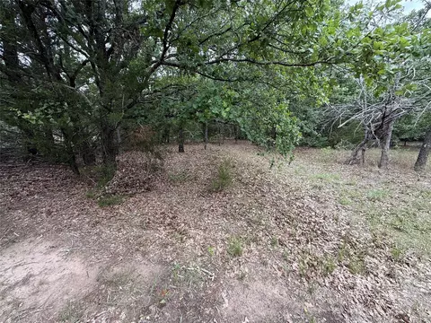 tbd 27 Acres Fm 642, Purdon, TX 76679 photo 17