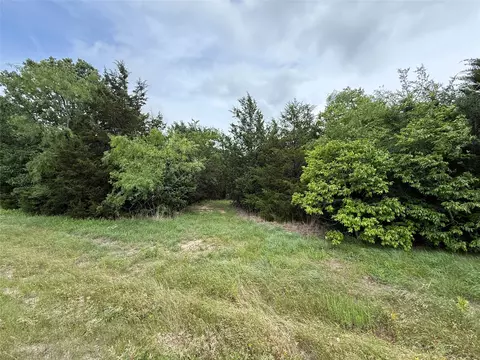 tbd 27 Acres Fm 642, Purdon, TX 76679 photo 4