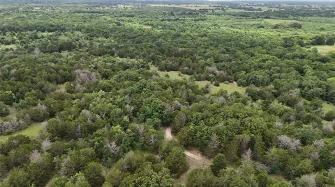 tbd 27 Acres Fm 642, Purdon, TX 76679 photo 11