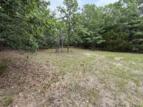 tbd 27 Acres Fm 642, Purdon, TX 76679 photo 16
