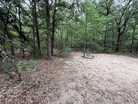 tbd 27 Acres Fm 642, Purdon, TX 76679 photo 20