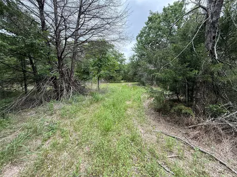 tbd 27 Acres Fm 642, Purdon, TX 76679 photo 6