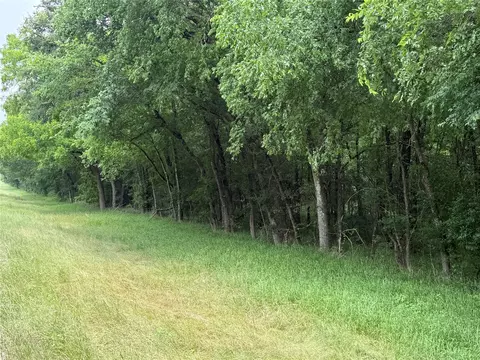tbd 27 Acres Fm 642, Purdon, TX 76679 photo 38
