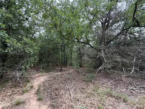 tbd 27 Acres Fm 642, Purdon, TX 76679 photo 28