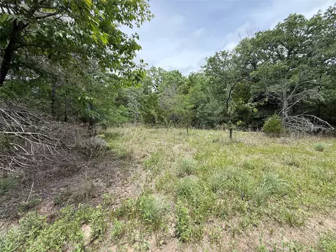 tbd 27 Acres Fm 642, Purdon, TX 76679 photo 8