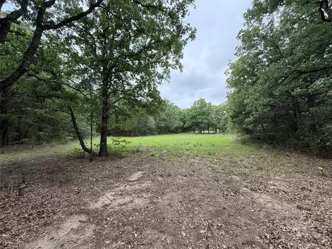 tbd 27 Acres Fm 642, Purdon, TX 76679 photo 33