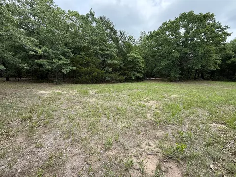tbd 27 Acres Fm 642, Purdon, TX 76679 photo 12