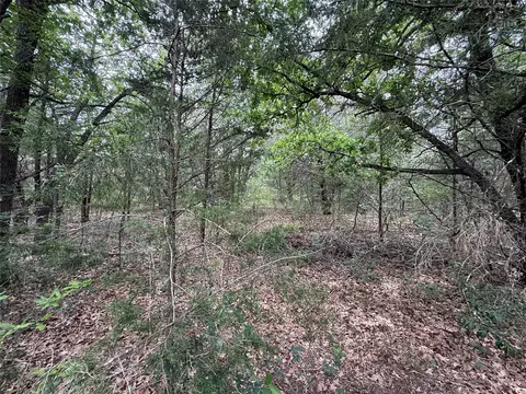 tbd 27 Acres Fm 642, Purdon, TX 76679 photo 23