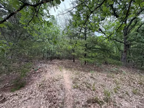 tbd 27 Acres Fm 642, Purdon, TX 76679 photo 25
