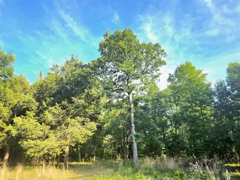 lot377 Timber Rdg, Larue, TX 75770