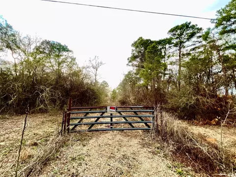00 Pine St, Heflin, LA 71039 photo 11