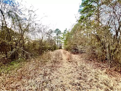 00 Pine St, Heflin, LA 71039 photo 12