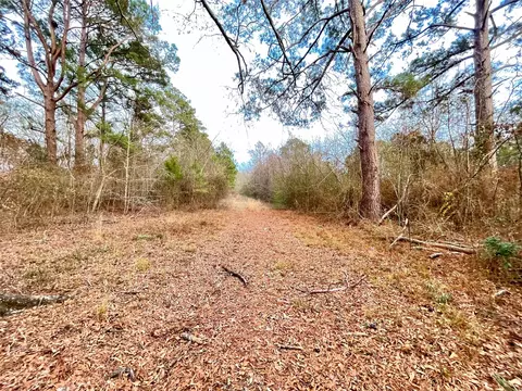 00 Pine St, Heflin, LA 71039 photo 9