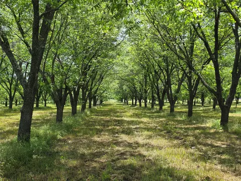 tbd Cr 446, De Leon, TX 76444