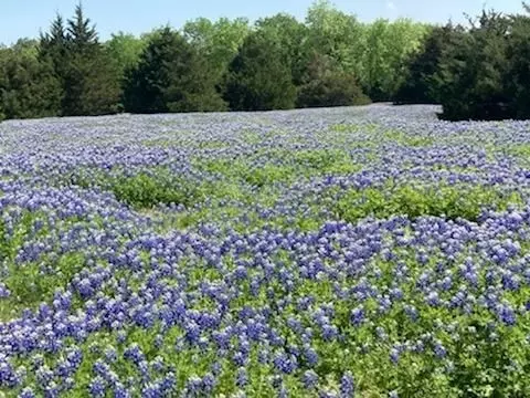 821 Ewing Rd, Ferris, TX 75125