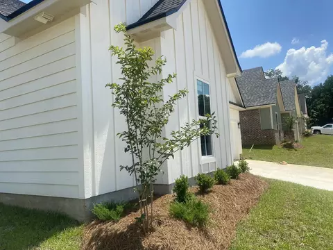Exterior - 703 Joseph Ln, Ruston, LA 71270 photo 2 of 2