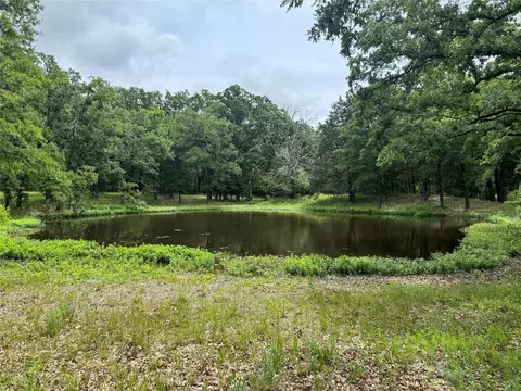 tbd Co Rd 4022, Kemp, TX 75143