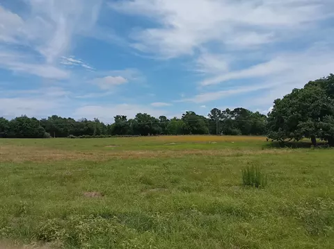 35 Ac Fm 1512, Donie, TX 75838