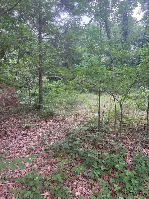 106 Red Bluff Loop, Mabank, TX 75156