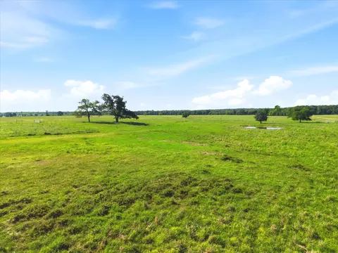 tbd Farm To Market 1995, Van, TX 75790 photo 22