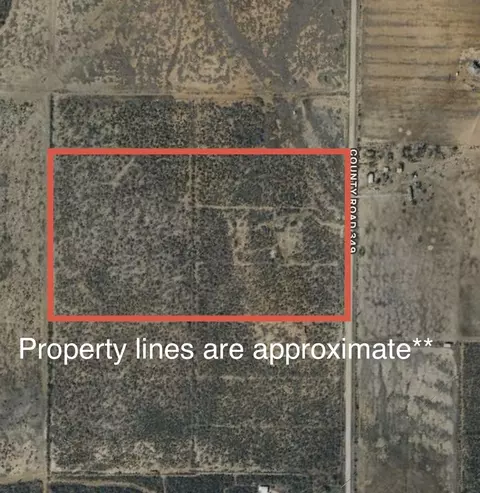 3689 County Road 349, Charlotte, TX 78011