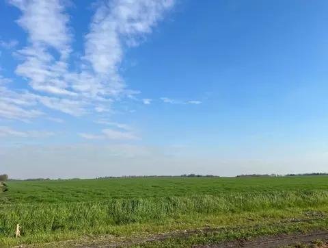 tbd Mustang Rd, Waxahachie, TX 75165