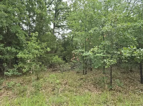 lot1007 Kickapoo Trl, Mabank, TX 75156