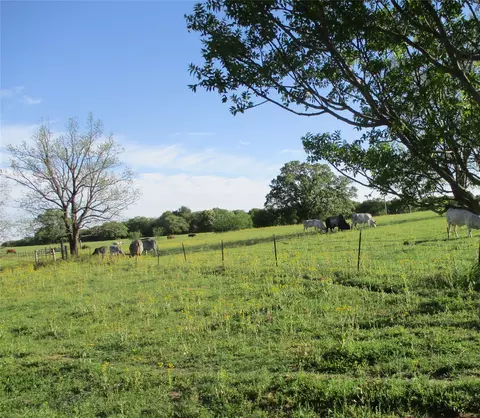 114 Pr 114, Covington, TX 76636 photo 6