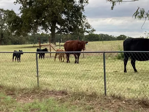 114 Pr 114, Covington, TX 76636 photo 11