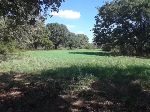114 Pr 114, Covington, TX 76636