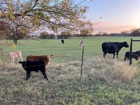 114 Pr 114, Covington, TX 76636 photo 12