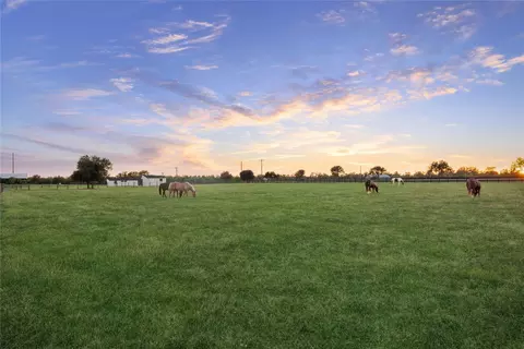 40570 Wild Life Run, Hempstead, TX 77445